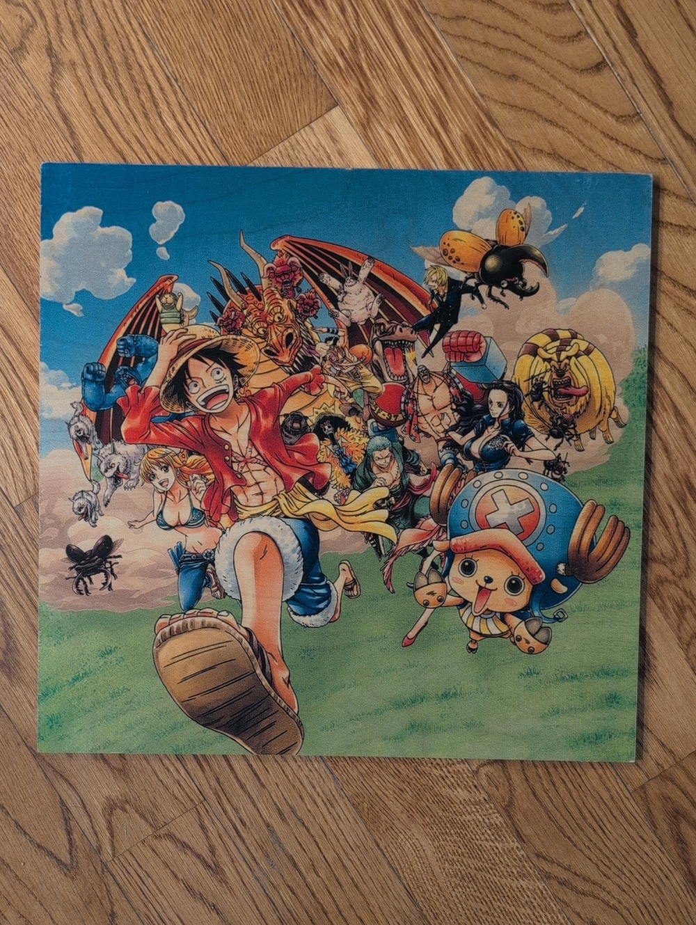 One Piece Wooden Poster